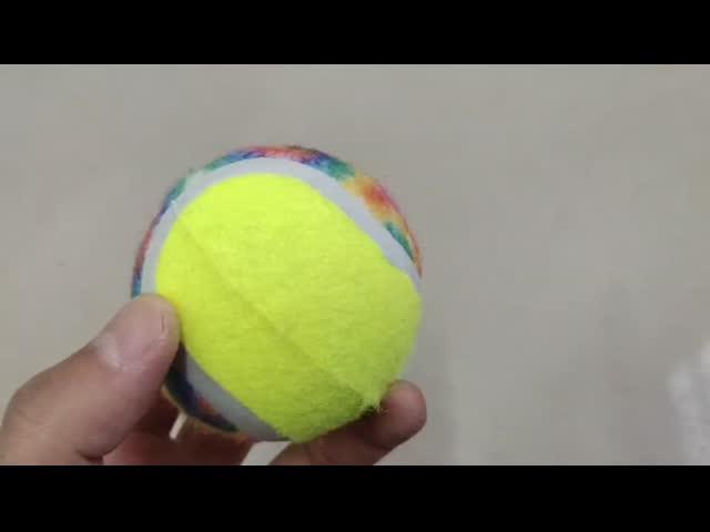 pet toy ball