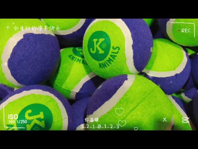 pet toy tennis ball