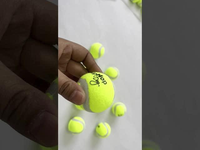 Custom logo 2.5“ Diameter Eco-Friendly Rubber Pet Tennis Balls For Dogs Pet Safe Dog Toys for Exerci